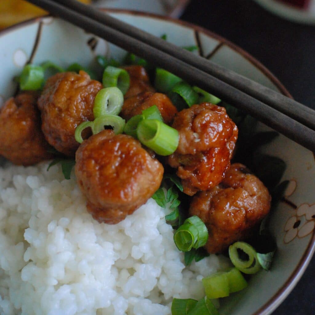 tsukune don